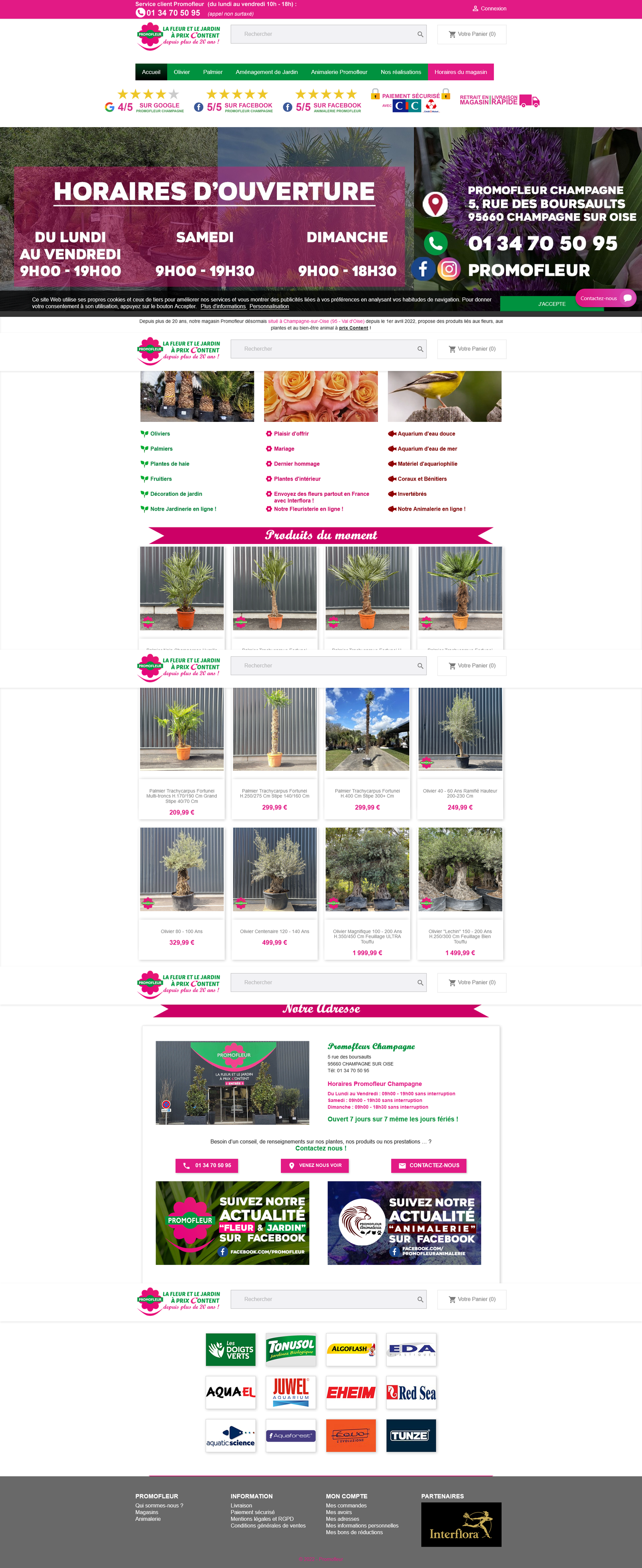 screenshot-www.promofleur.fr-2022.08.29-19_47_03